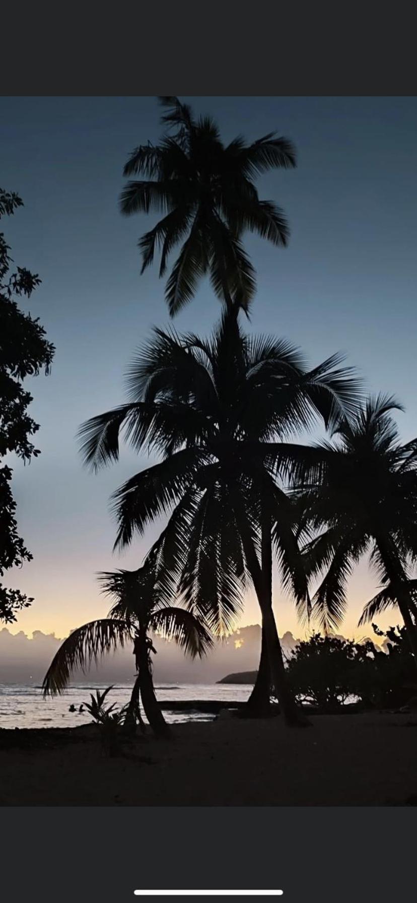 Apartamento Au Petit Noni Le Gosier  Exterior foto